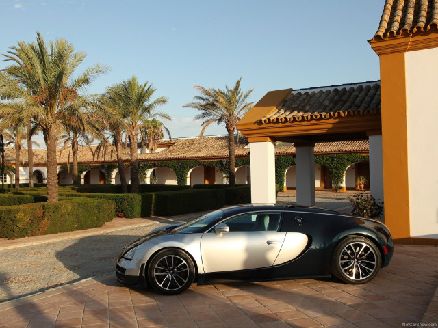 bugatti veyron super sport pic #77553