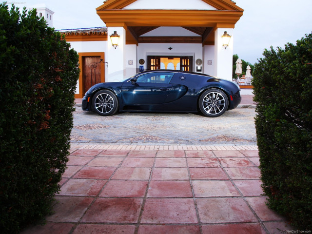 bugatti veyron super sport pic #77554