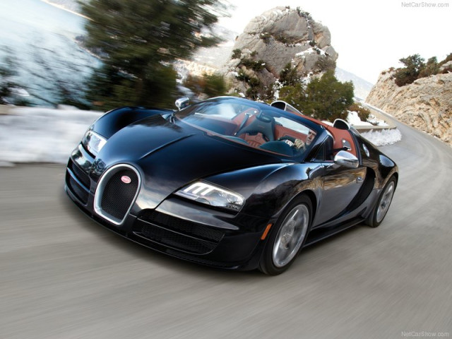 bugatti veyron pic #96357