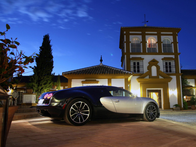 bugatti veyron pic #96702