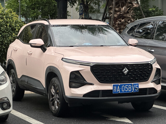 Baojun RS-3 I photo 209647