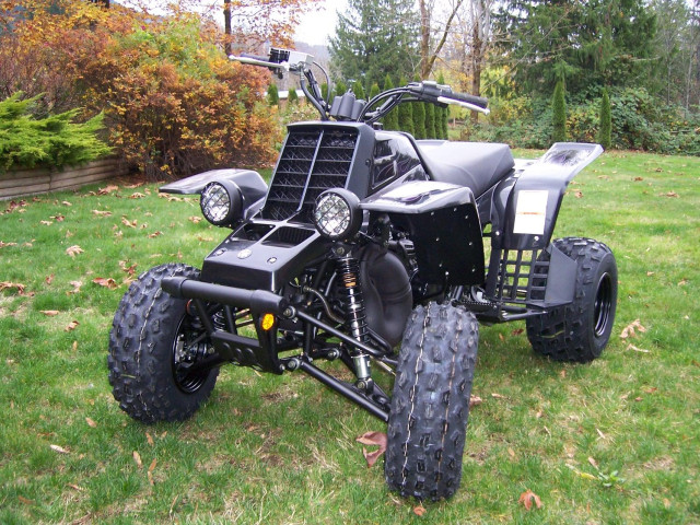 yamaha yfz banshee pic #30638