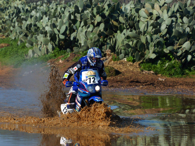 yamaha wr450f 2-trac pic #30698