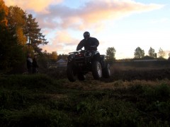 yamaha grizzly pic #39301