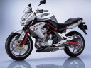 Kawasaki ER-6N