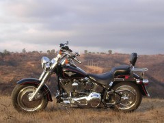 Harley-Davidson FLSTF Fat Boy pic
