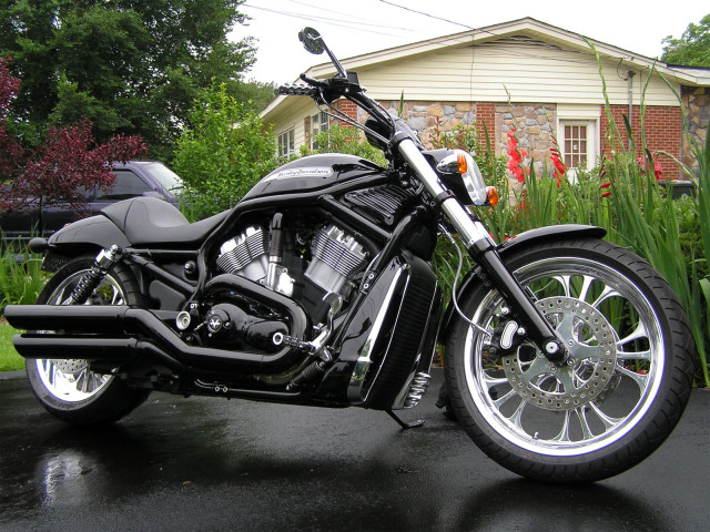 harley-davidson vrscaw v-rod pic #69473