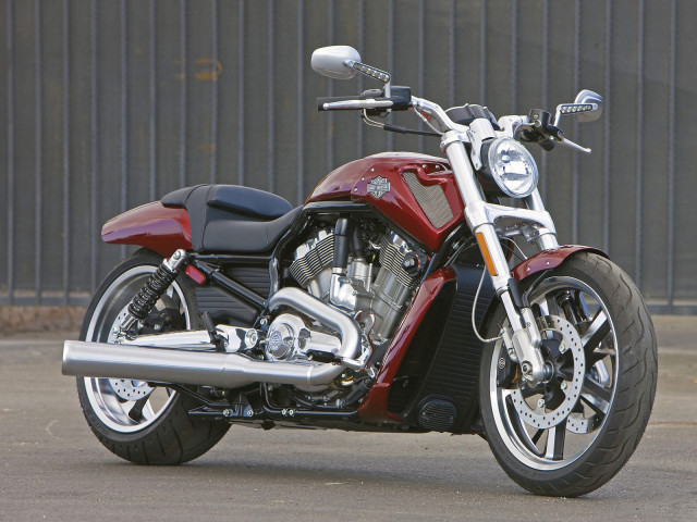 harley-davidson vrscf v-rod muscle pic #70098