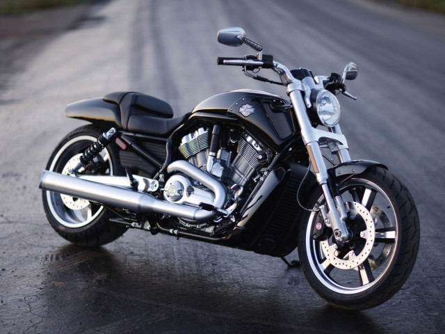 harley-davidson vrscf v-rod muscle pic #70099