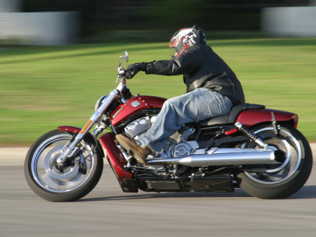 harley-davidson vrscf v-rod muscle pic #70101