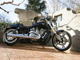 Harley-Davidson VRSCF V-Rod Muscle