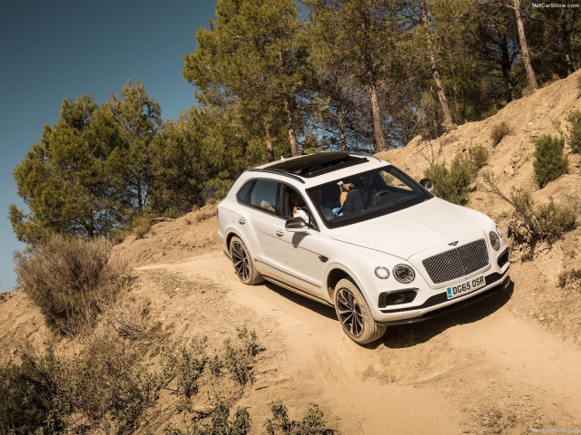 bentley bentayga pic #156460