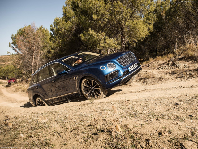 bentley bentayga pic #156464