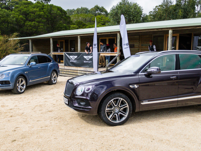 bentley bentayga pic #175955