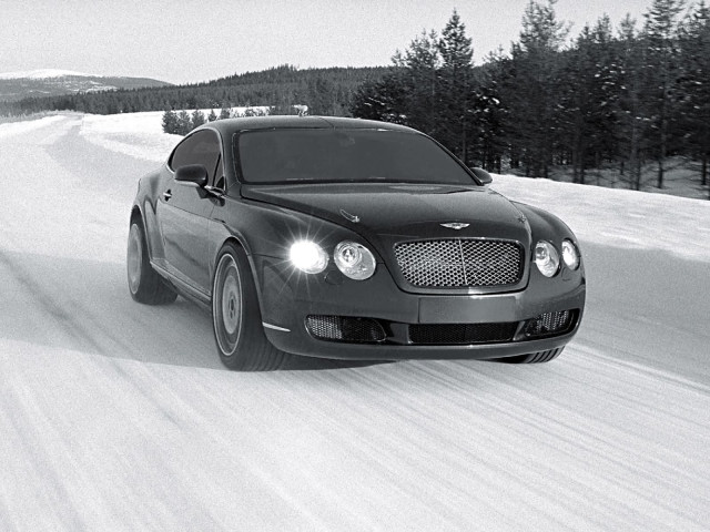 bentley continental gt pic #19043