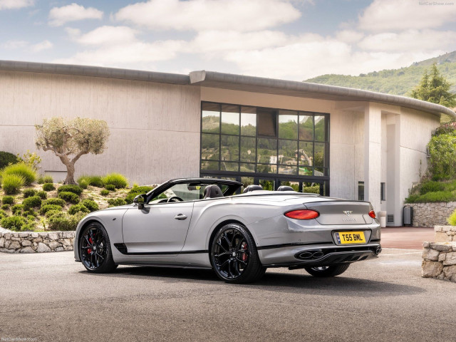 bentley continental gtc pic #202346