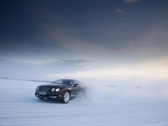 Continental GT photo #60426