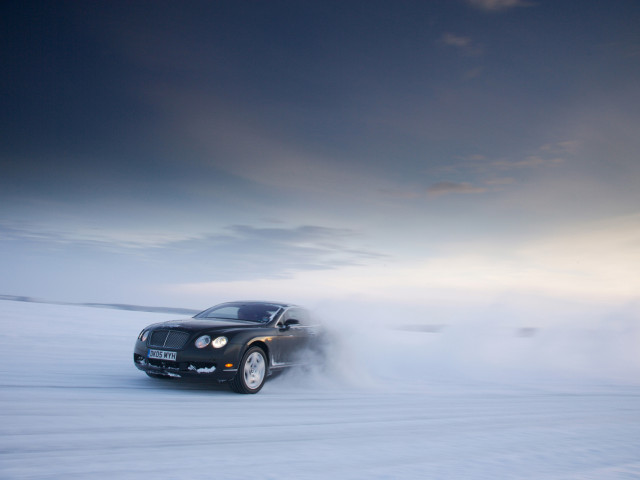 bentley continental gt pic #60426