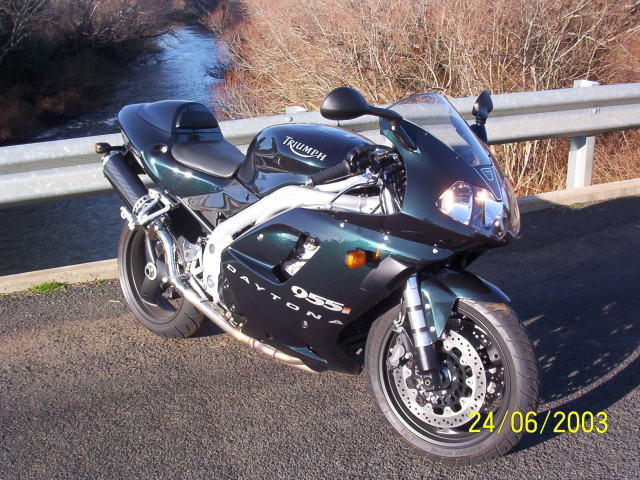 triumph daytona 955 pic #18238