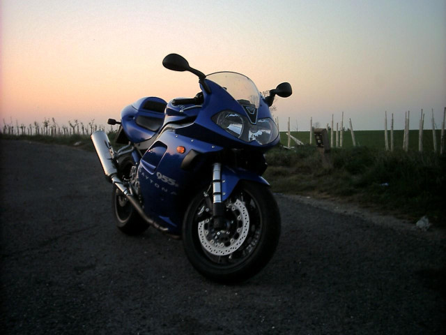 triumph daytona 955 pic #18239