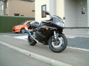 Triumph Daytona 955