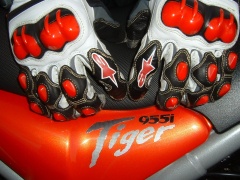 triumph tiger pic #22165