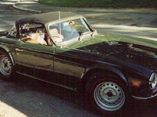 Triumph TR6