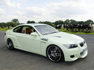 AC Schnitzer GP3.10