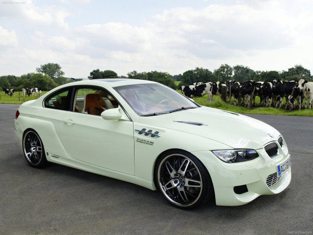 ac schnitzer gp3.10 pic #47099