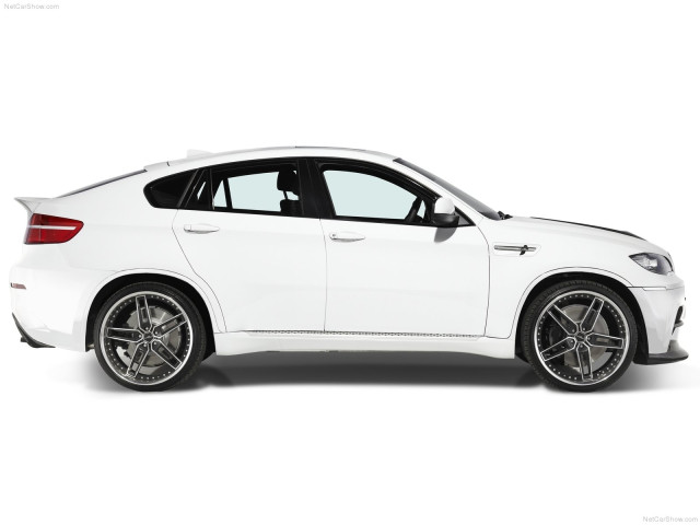 ac schnitzer bmw x6 m pic #74012