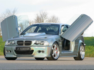 Hamann Las Vegas Wings