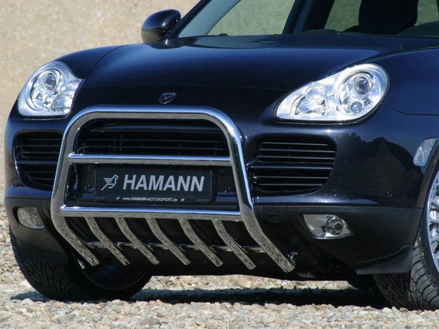 hamann cayenne pic #13795