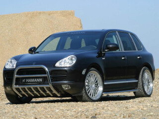 Hamann Cayenne