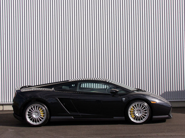 hamann lamborghini gallardo pic #13815