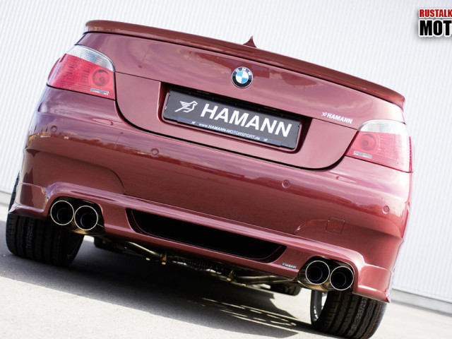 hamann bmw m5 pic #29629