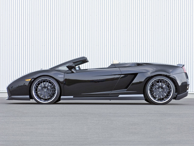 hamann lamborghini gallardo spyder pic #37386