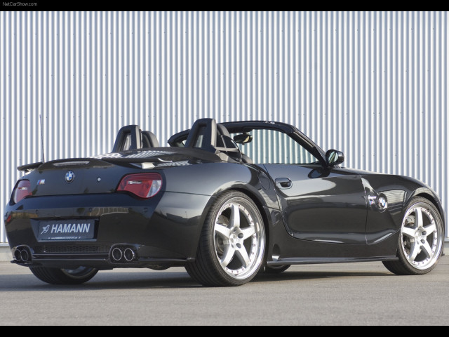 hamann bmw z4 m roadster pic #39437