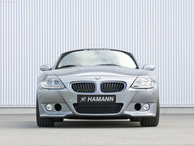 hamann bmw z4 m coupe pic #39449