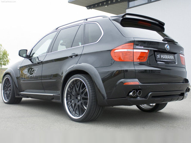 hamann bmw x5 flash pic #47750