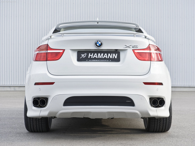 hamann bmw x6 pic #59131