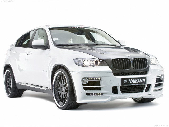 hamann bmw x6 pic #59137