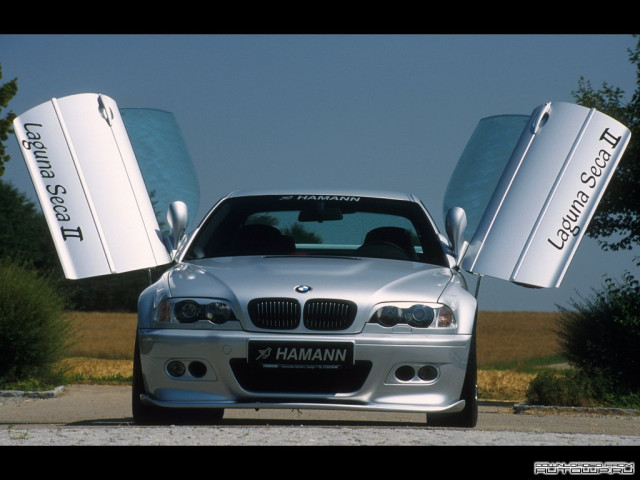 hamann bmw laguna seca ii (e46) pic #59547