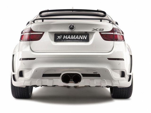 hamann bmw x6 tycoon evo pic #67233