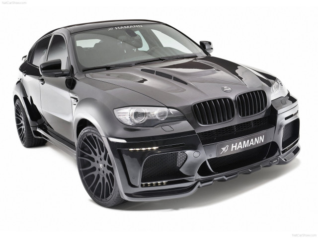 hamann bmw x6 tycoon evo m pic #72448