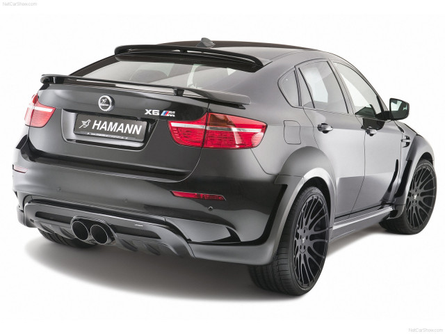 hamann bmw x6 tycoon evo m pic #72450