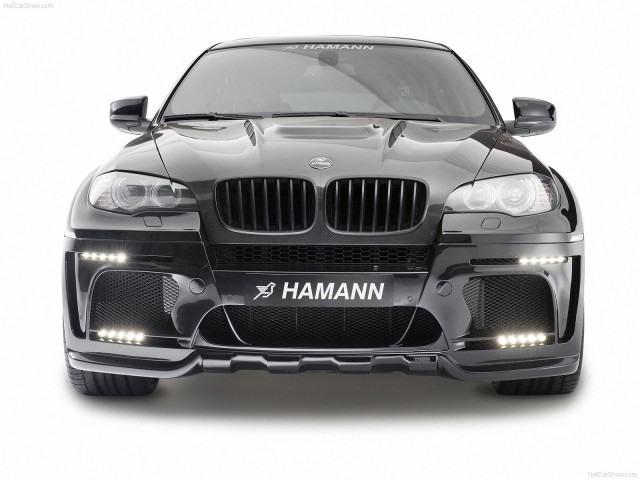 hamann bmw x6 tycoon evo m pic #72451