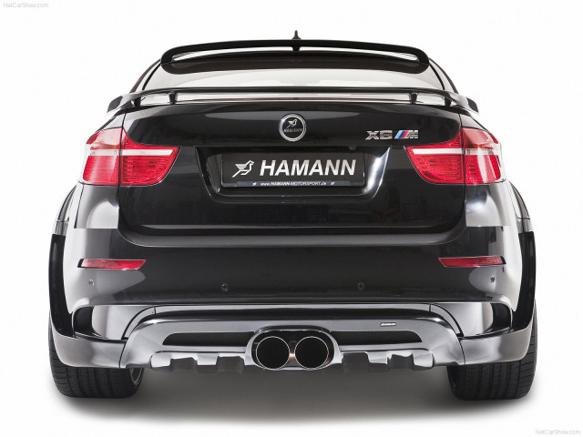 hamann bmw x6 tycoon evo m pic #72452