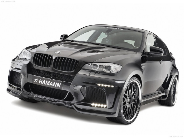 hamann bmw x6 tycoon evo m pic #72453