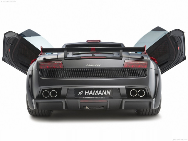 hamann victory ii pic #77631