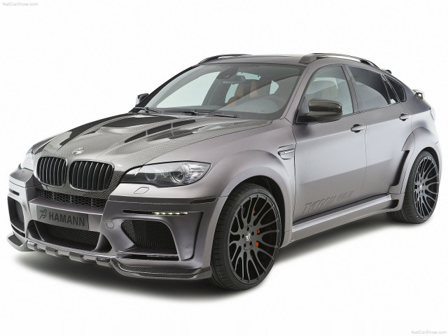 hamann bmw x6 tycoon evo m pic #79314